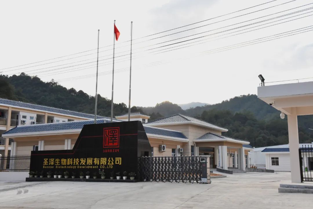 央媒看南平｜闻鸡起舞青山间——圣农集团白羽肉鸡种源攻关记