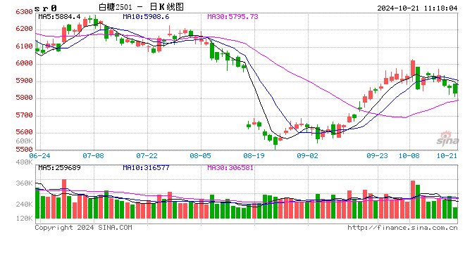 光大期货软商品类日报10.21